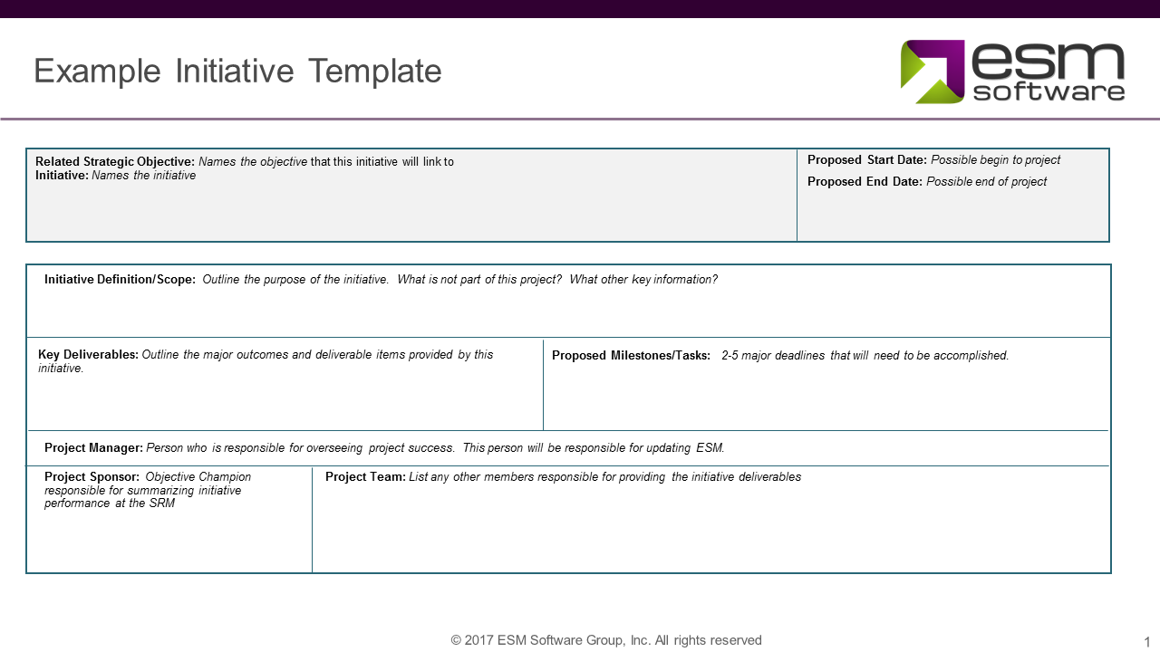 examples-of-strategic-initiatives